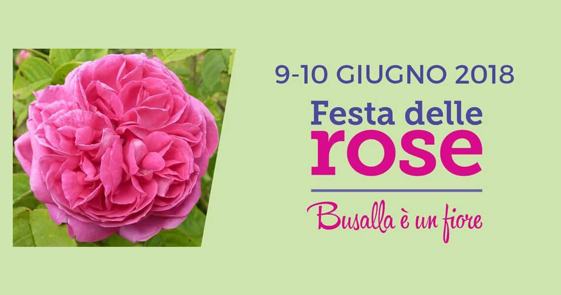 Festa della Rosa Busalla